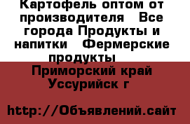 Картофель оптом от производителя - Все города Продукты и напитки » Фермерские продукты   . Приморский край,Уссурийск г.